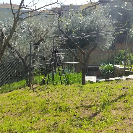 Casa Angi *